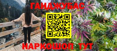 PSILOCYBIN Малоярославец