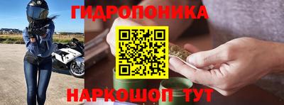 хмурый Малгобек