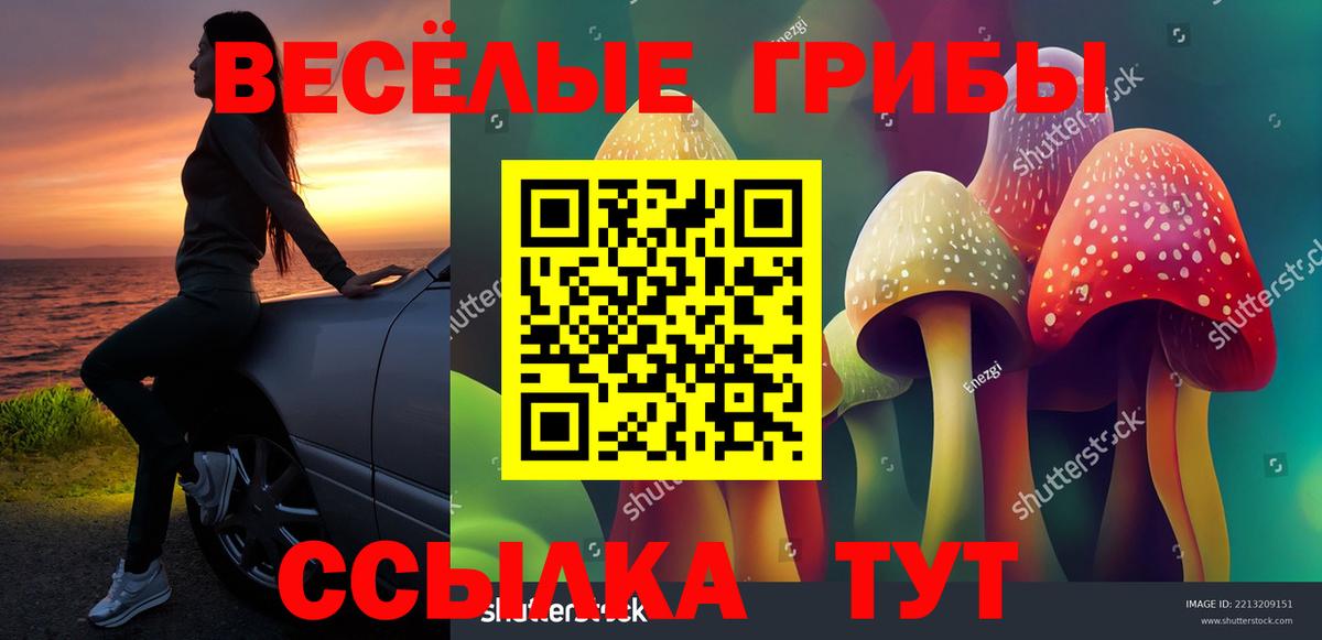 Галлюциногенные грибы прущие грибы  Вход с VPN  сколько стоит  Галлюциногенные грибы Cubensis  Старая Русса 